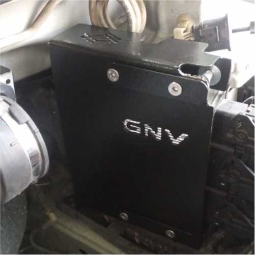 GNV2