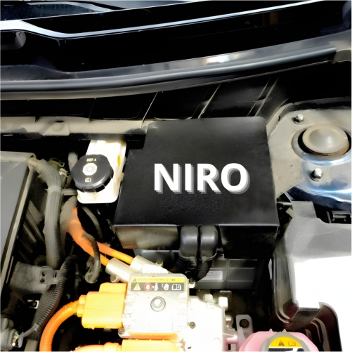 niro3